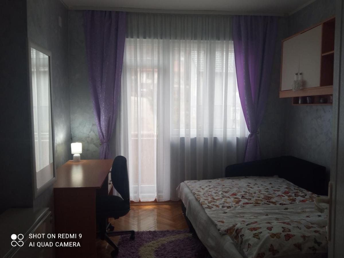 Apartman ,,Milica" Donji Milanovac Luaran gambar