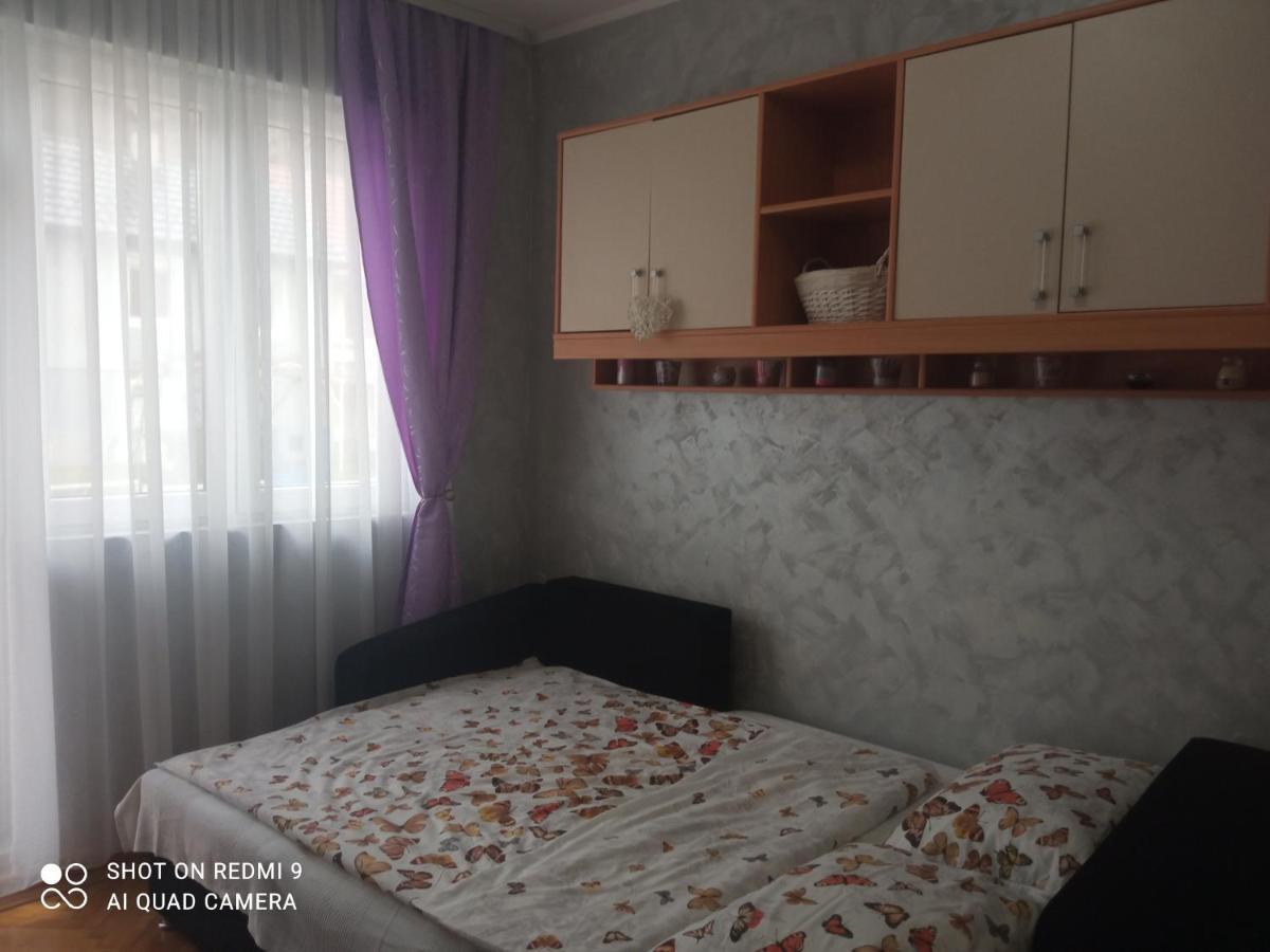 Apartman ,,Milica" Donji Milanovac Luaran gambar
